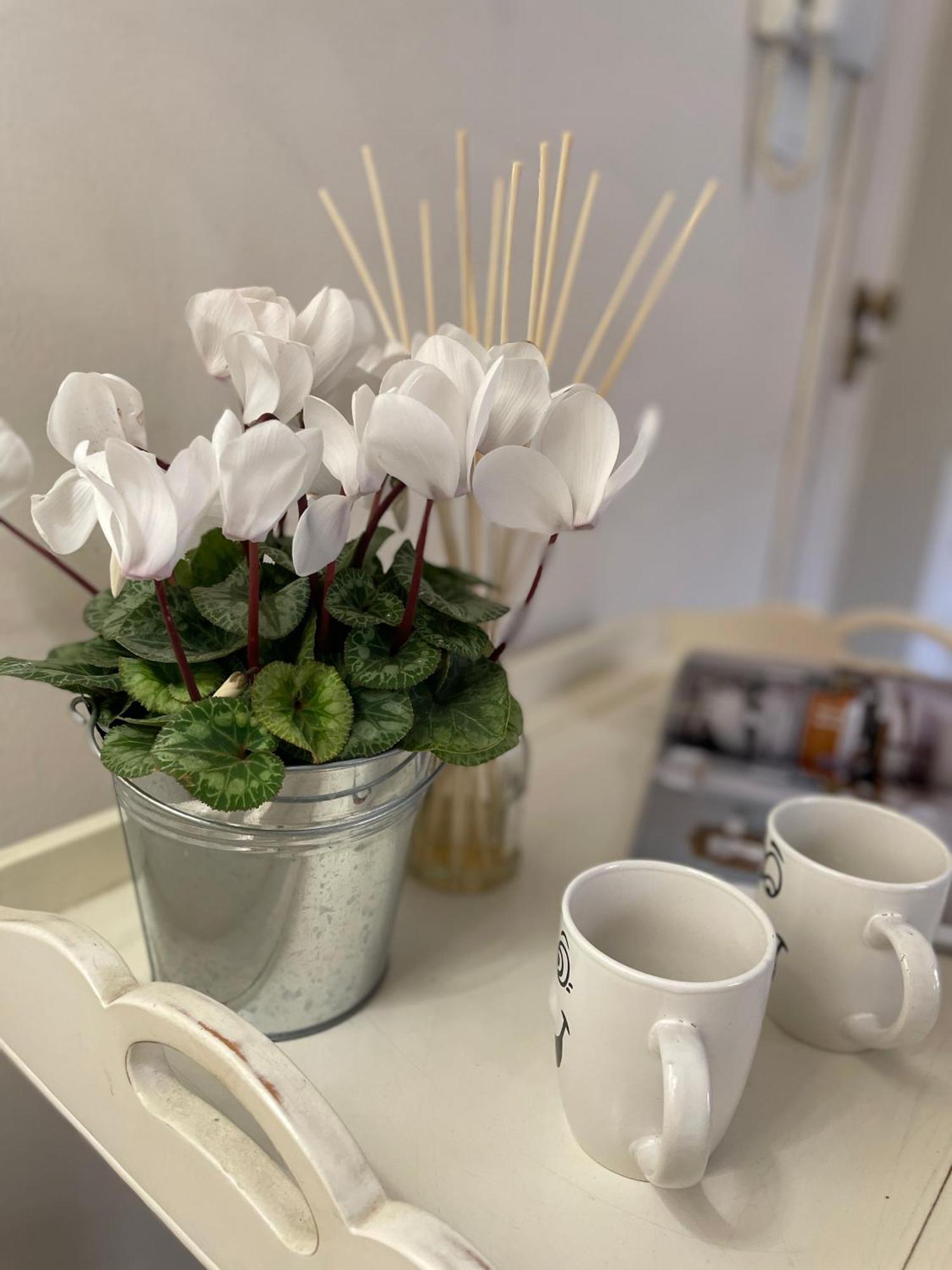 Charming Studio Next To The Duomo 피렌체 외부 사진